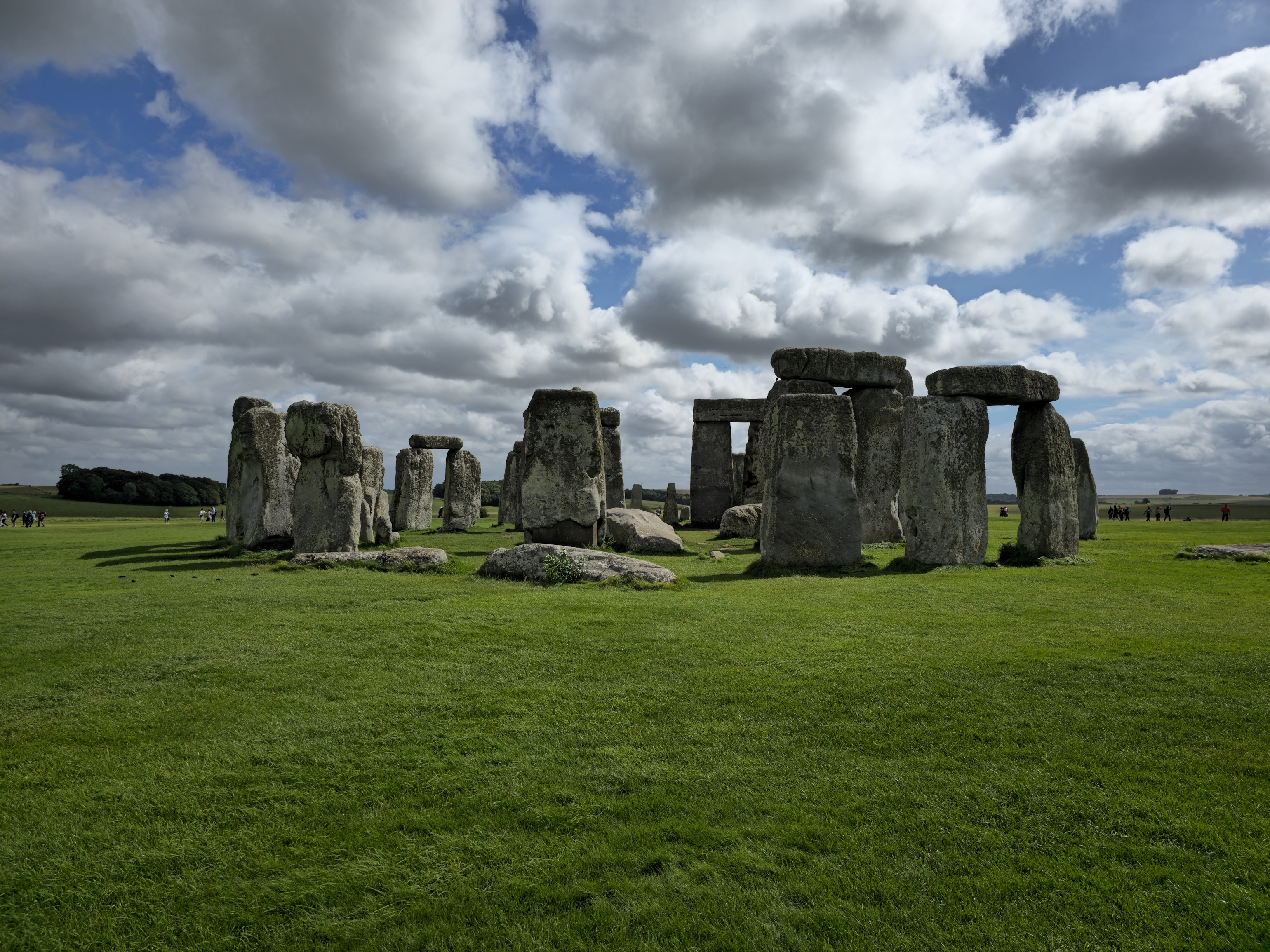 Job market dashboard